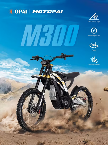 Ce/EEC/DOT 電動自転車折りたたみリチウム電池 Bluetooth GPS APP 付き