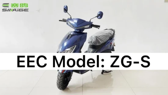 EEC 認定 72V20ah Saige 鉛酸またはリチウム バッテリー、2000W 道路承認済み電動自転車