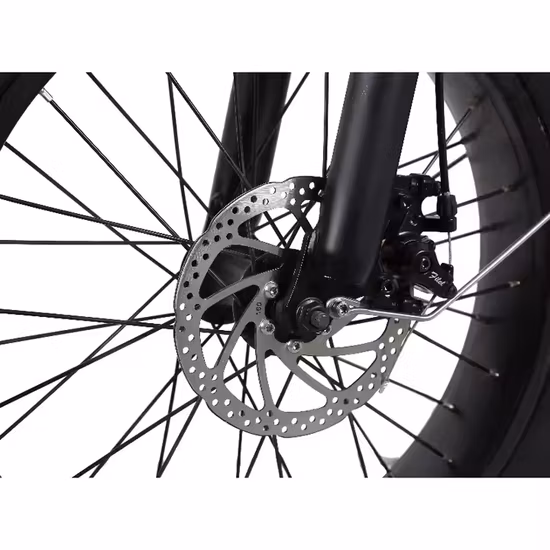 電動自転車 高品質 20 インチ 1000W デュアルハブモーター、20 インチタイヤ *4 ファットタイヤ長距離マウンテン E-バイク、油圧ブレーキ、電動ダートバイク 48V 20Ah